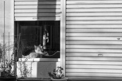 On The Sunny Side Of Town (Jan.15, 2024)