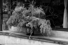 On The Sunny Side Of Town (Dec.17, 2023)