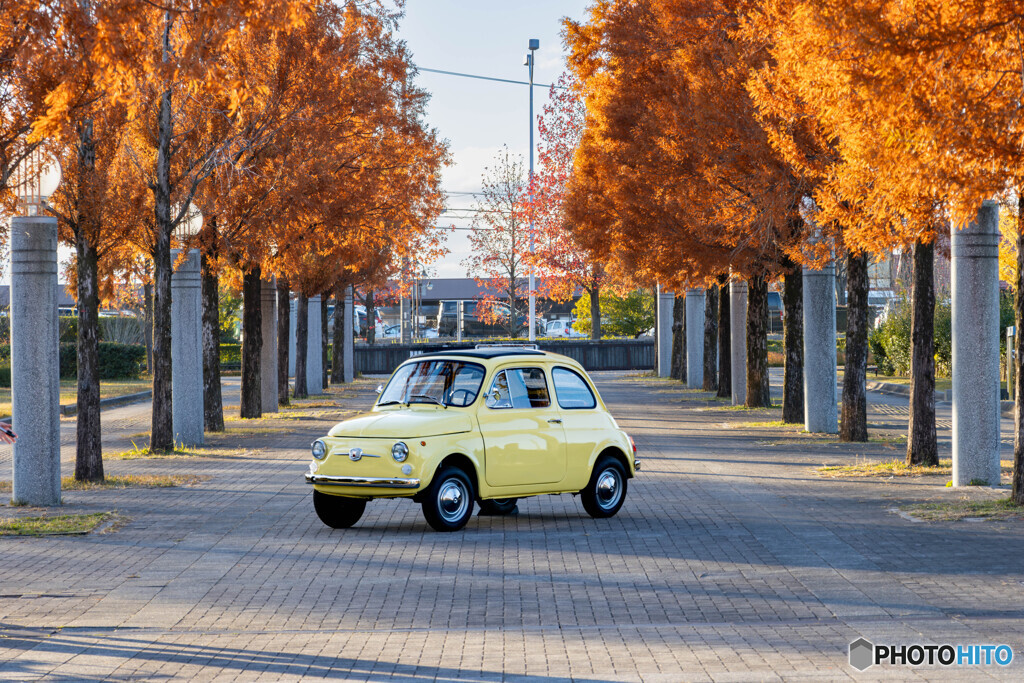 FIAT500　チンクエチェント