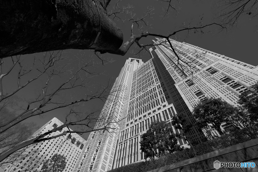 街のシンボル 2