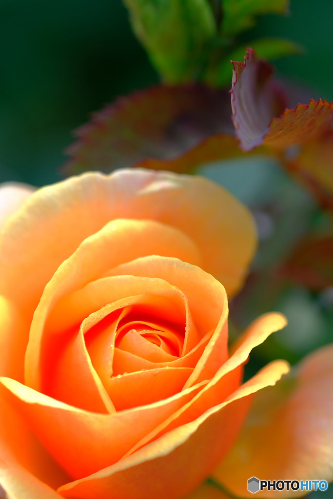 静かなる主張 2