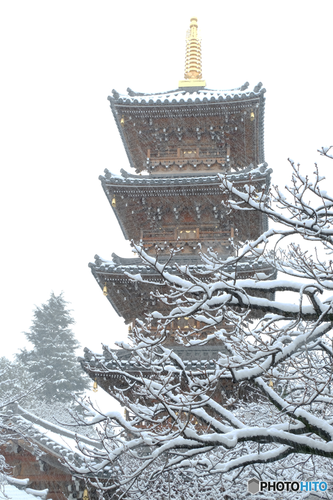 満開の雪の華 2