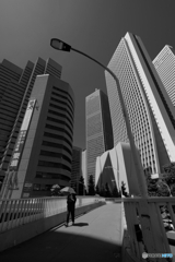 Summer in the City2