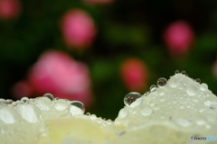 Jewelry 2