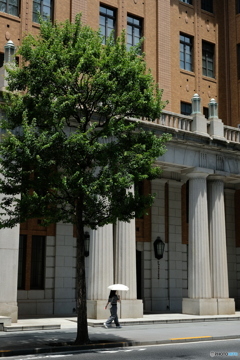 Summer in the City 4