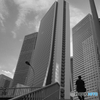 都市景観 12