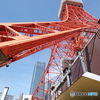 東京てんこ盛り