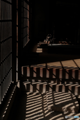 光と格子の共演 2