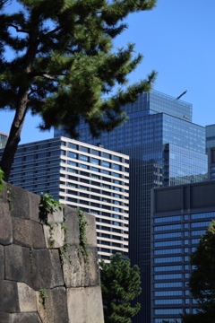 江戸と令和