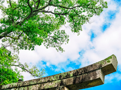 夏の空