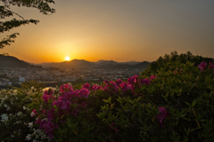 夕日