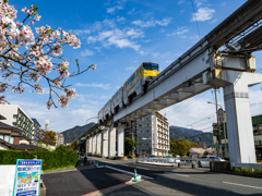 桜とモノレール