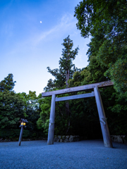 夜の大鳥居