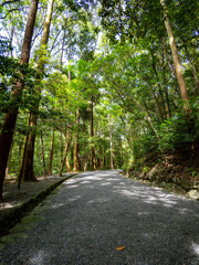 月讀の参道