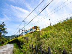日の下のサニーカー