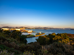 元旦の港