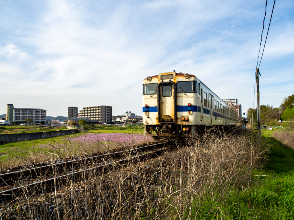 春の日田彦