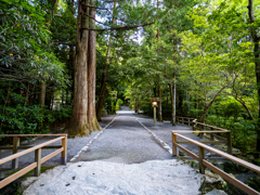 夕べの参道