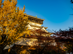 秋の小倉城天守閣