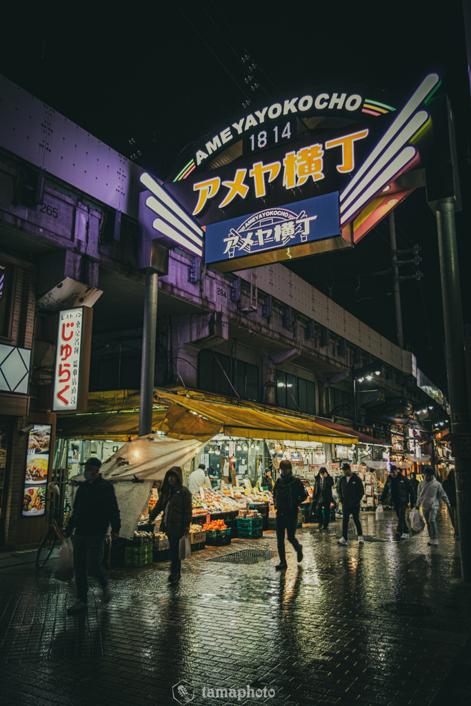 雨よこ