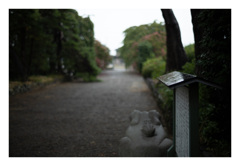 静かな参道