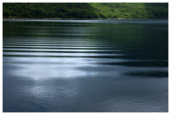 夏の湖畔