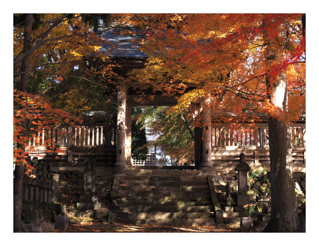 秋の境内