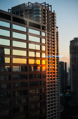 夕陽と東京タワー