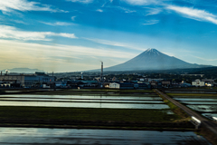 水田と富士