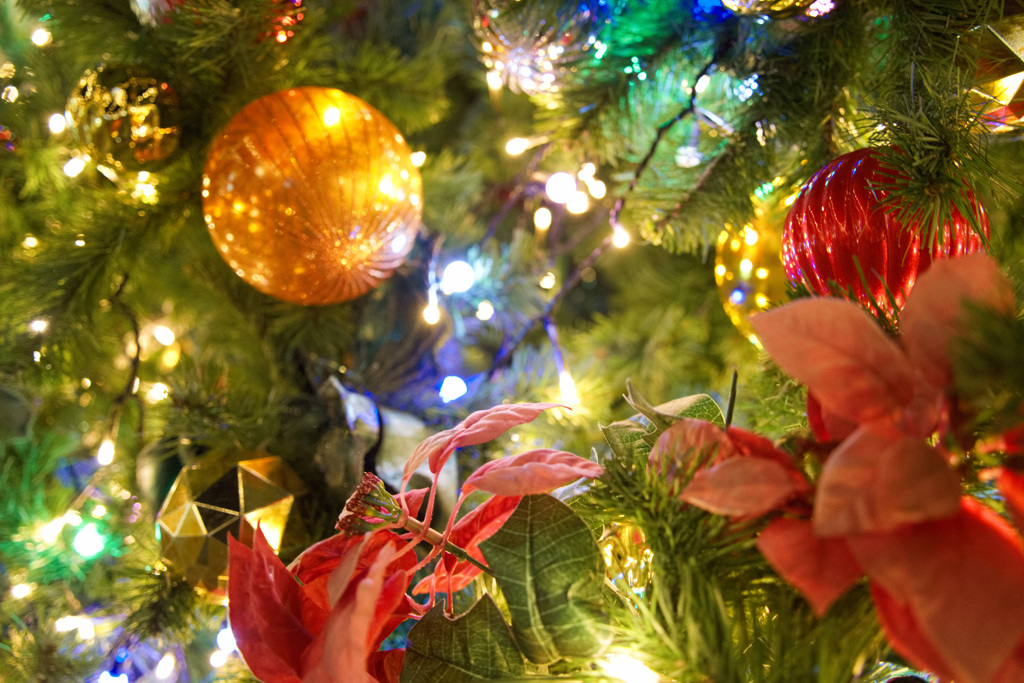 クリスマス満開2