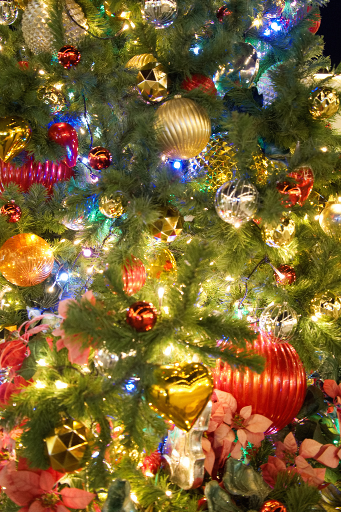 クリスマス満開3