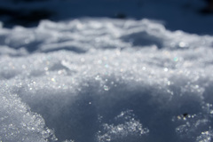 雪の海