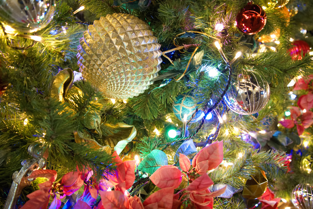 クリスマス満開1