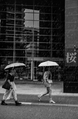 雨にも微笑んで