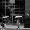 雨にも微笑んで