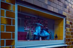 再会　青瞬の光