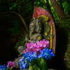 不動様と八仙花