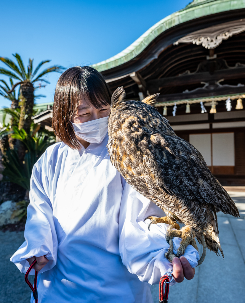 神の使いと見つめ合い