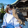 神の使いと見つめ合い