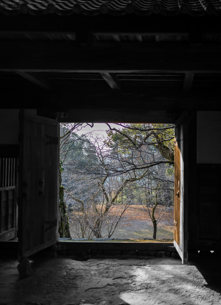 冬枯れの城跡