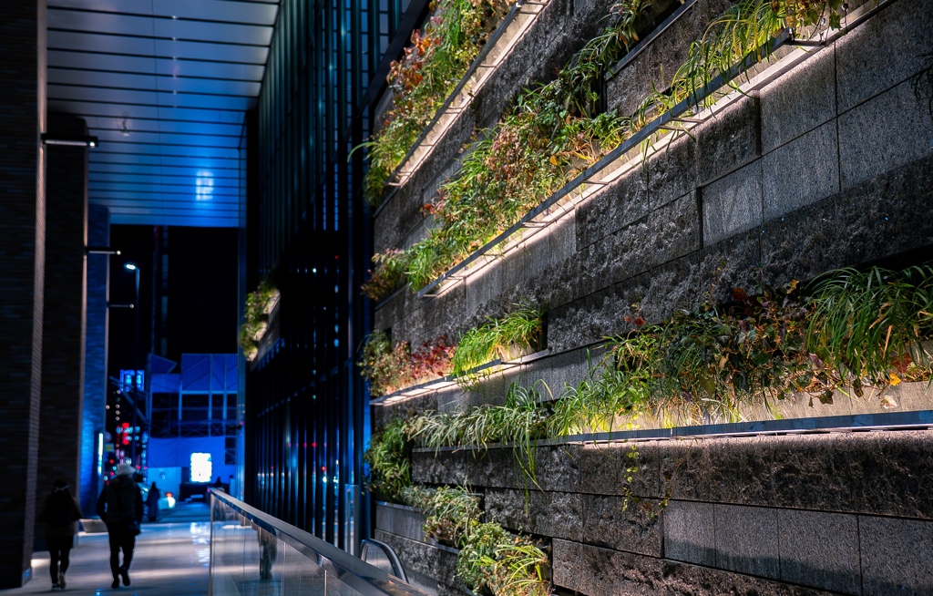 ウォールプランターを闊歩して