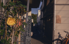 路地で出会った「太陽の癒し」