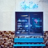 Blue Bias &