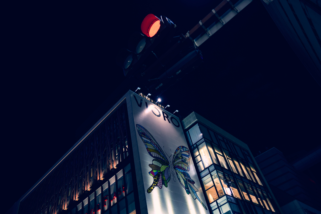 夜蝶とシグナル