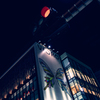夜蝶とシグナル