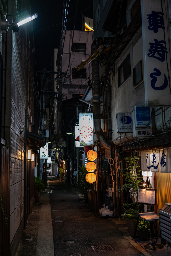 穏やかな光 誘われて