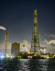 長身で静かに立ち