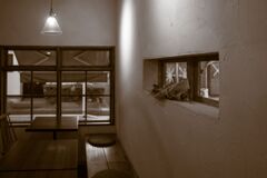 茶褐色の香りと。。　１