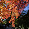 紅い古刹道