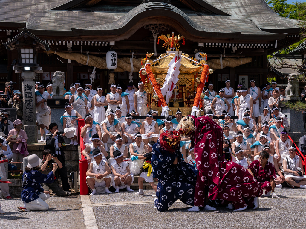 見つめる勇士